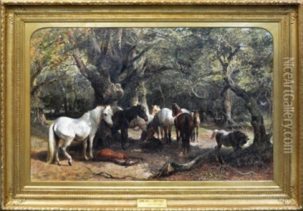 Sunny Days In The New Forest Oil Painting - George Bouverie Goddard