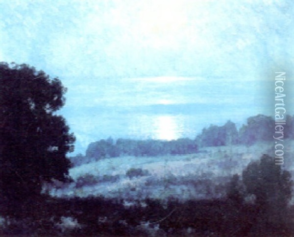 Moonlight On The Bluff Oil Painting - Maurice Braun
