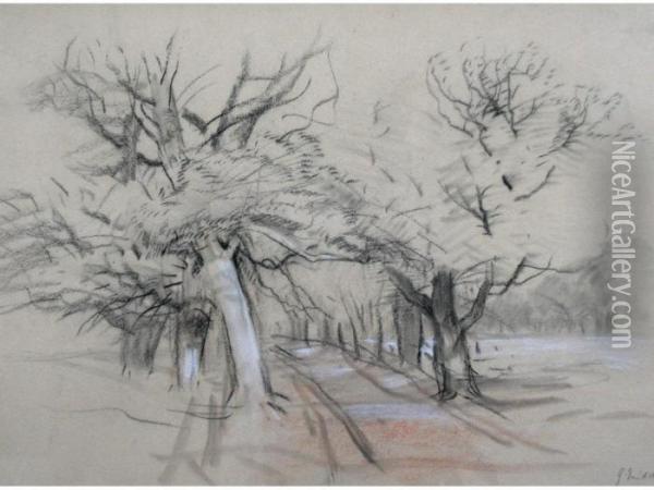 An Avenue Of Trees; Trees By A Riverside Oil Painting - John Middleton