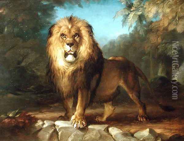 A Lion Oil Painting - William Huggins
