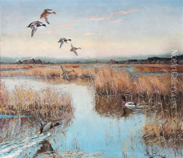 Ducks At A Lake Oil Painting - William Gislander