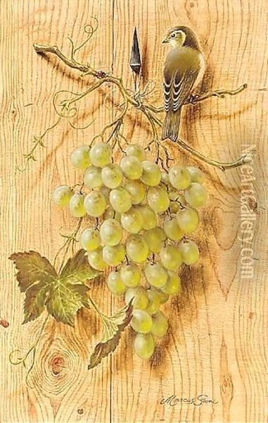 Bush Warbler With Grapes Oil Painting - Marcus Stone