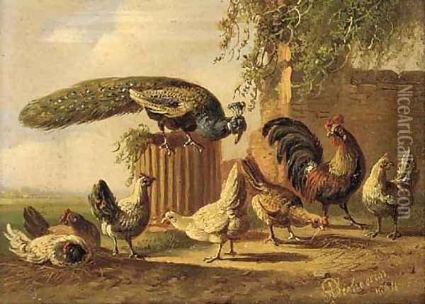A peacock and poultry in a farmyard Oil Painting - Albertus Verhoesen