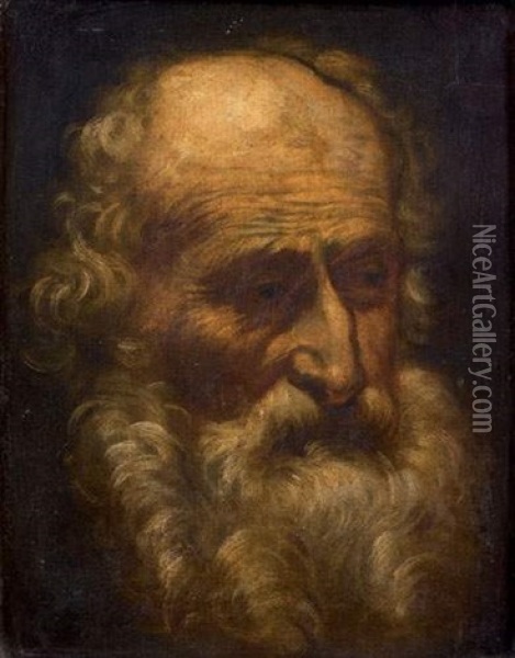 Etude De Tete D'homme Barbu Oil Painting - Pier Francesco Mola