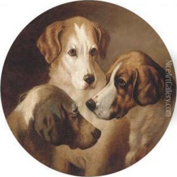Three Hounds Oil Painting - George Earl