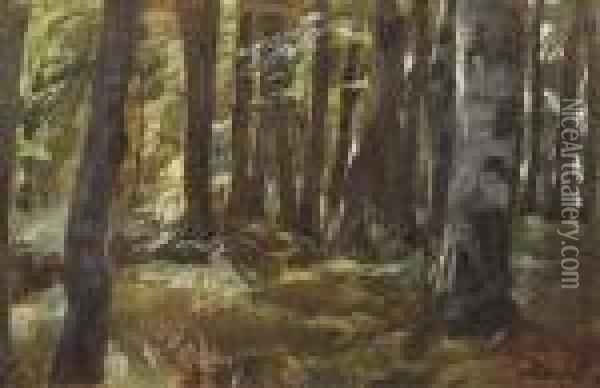 The Forest Oil Painting - Wilhelm Trubner