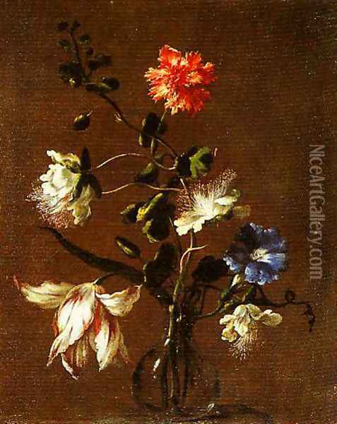 Three Caper Flowers a Carnation a Bindweed and a Tulip Oil Painting - dei Fiori (Nuzzi) Mario
