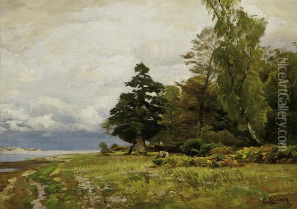 Summer Landscape By The Balticsea Oil Painting - Eugene Gustav Ducker