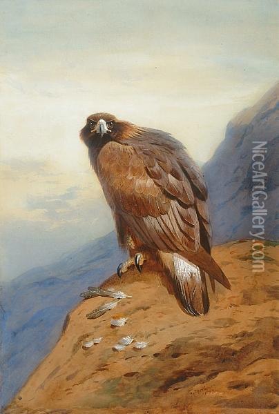 Golden Eagle Oil Painting - Archibald Thorburn