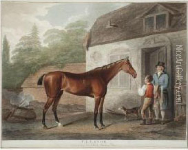 Portraits Of Celebratedrunning Horses Oil Painting - John Whessell