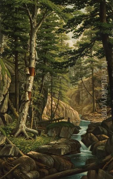 White Birch Along A Stream Oil Painting - Levi Wells Prentice