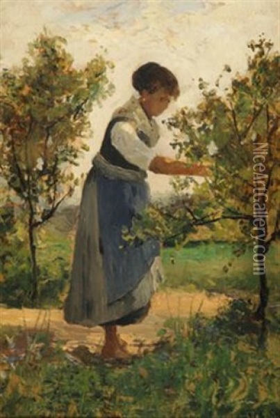 Obstpfluckendes Madchen Im Garten Oil Painting - Lorenzo Delleani