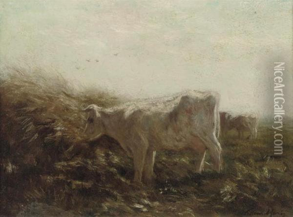 Cows In A Meadow Oil Painting - Willem Maris