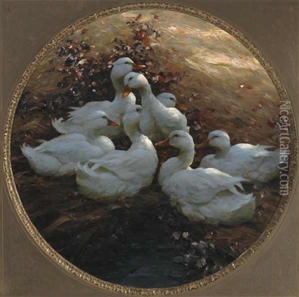 Ducks Resting In The Evening Sun Oil Painting - Alexander Max Koester