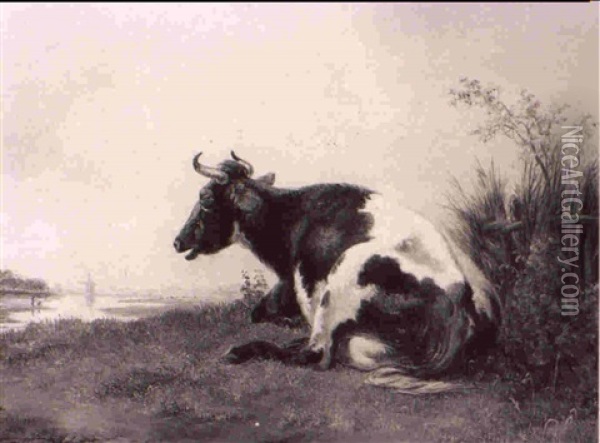 A Resting Cow Oil Painting - Pieter Gerardus Van Os