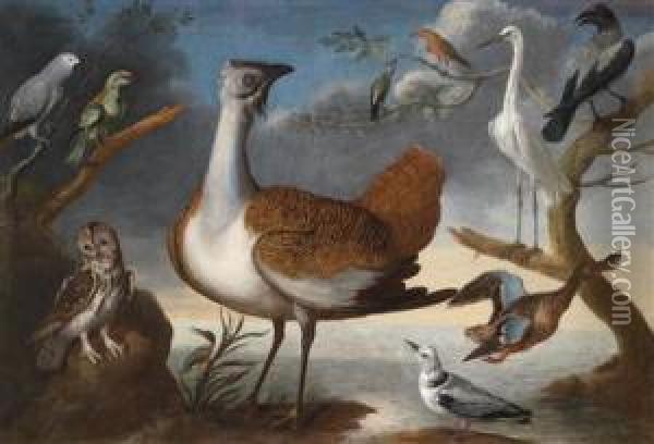Exotic Birds Oil Painting - Pietro Nieri Scacciati
