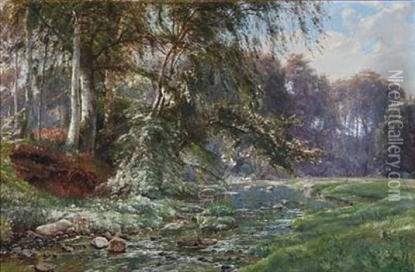En Skovbaek Oil Painting - Johannes Boesen