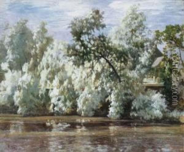 Willows Oil Painting - Robert Noble