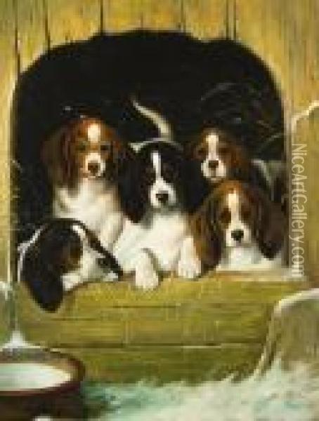Beagle Puppies Oil Painting - Gabriel Metsu