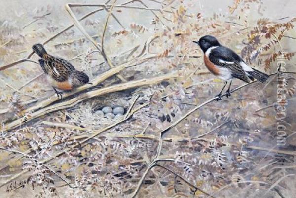 Stonechats Oil Painting - George Edward Lodge