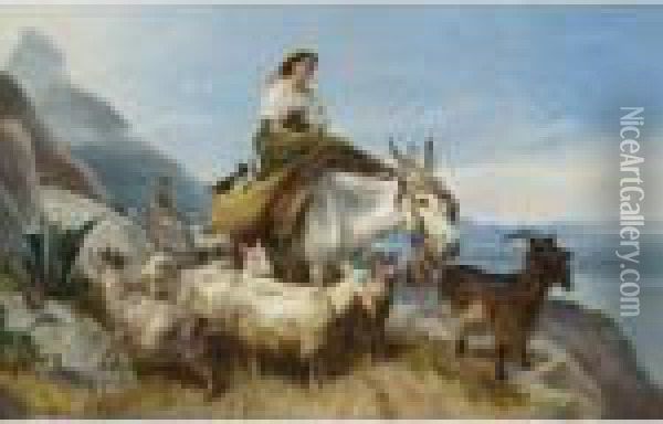 Goatherd On The Rock Of Gibralter Oil Painting - Richard Ansdell