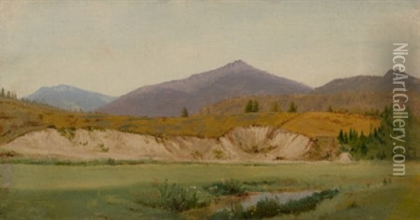 Landscape With Mountains Oil Painting - John William Hill