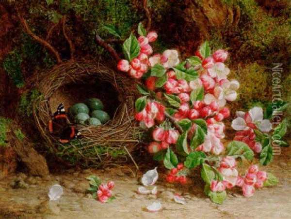Still Life With Blossom, A Bird's Nest And A Butterfly Oil Painting - William Hughes