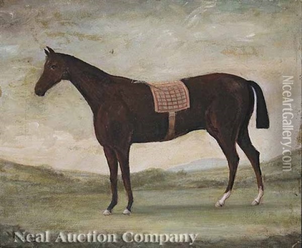 Horse With A Red Patterned Saddleblanket Oil Painting - Reuben Ward Binks