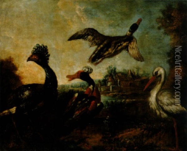Une Dinde, Deux Canards Et Une Cigogne Au Bord D'un Etang Oil Painting - Melchior de Hondecoeter