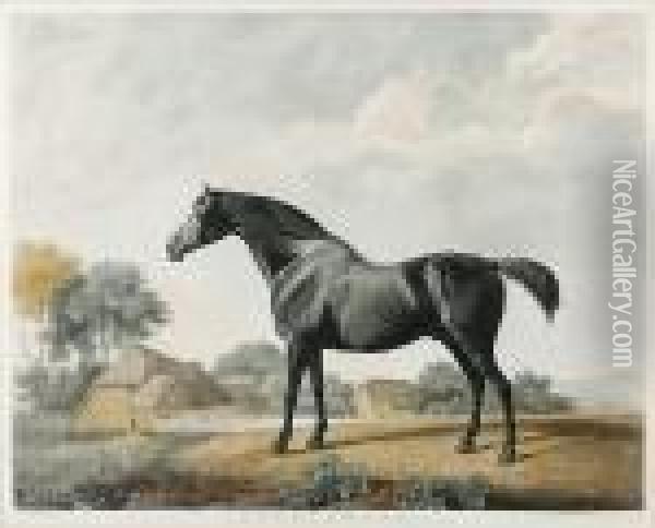 Sweetbriar, (lennox Boyd 112) Oil Painting - George Stubbs