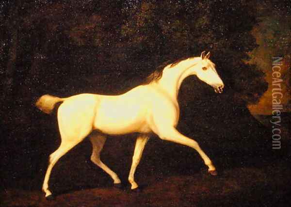 The Earl of Westmorlands Grey Hunter, 1786 Oil Painting - George Stubbs