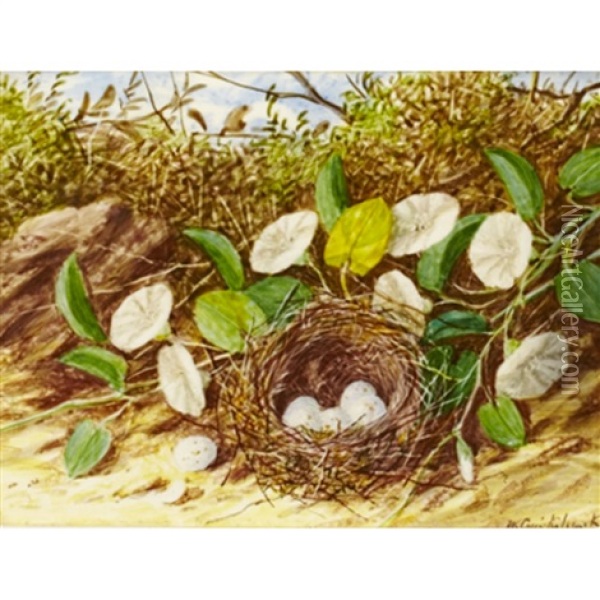 Bird's Nest With Flowers Oil Painting - William Cruickshank
