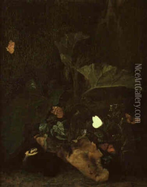 Snake Emerging From Beneath Undergrowth And Scattering Butterflies Oil Painting - Otto Marseus van Schrieck