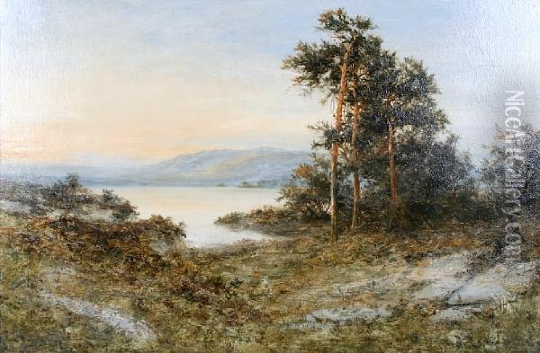 Summer By The Loch Oil Painting - Daniel Sherrin