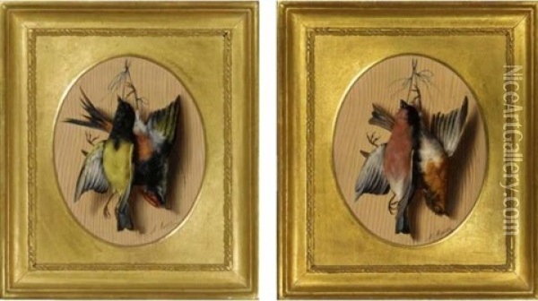 A Pair Of Still Lifes Of Songbirds Oil Painting - Michelangelo Meucci
