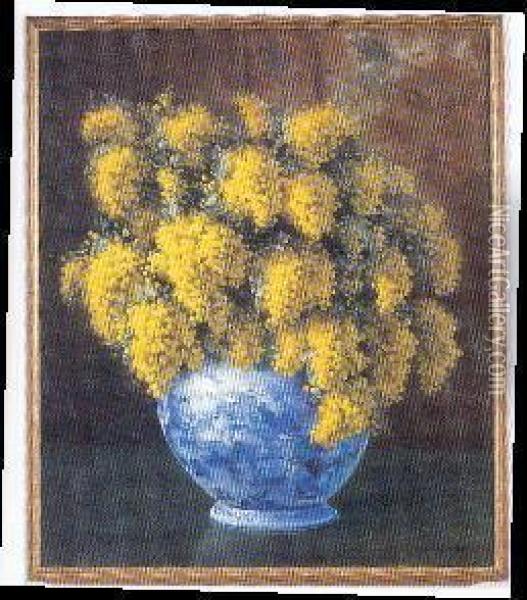 ' Vaso Con Mimose' Oil Painting - Graziani