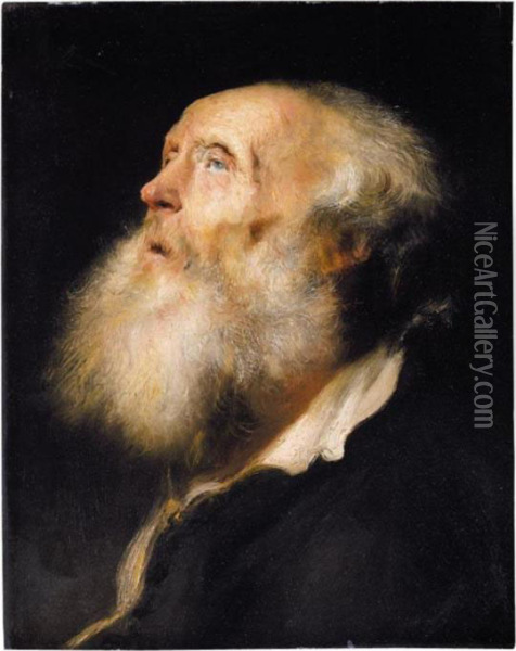 Study Of An Old Man, Head And Shoulders Oil Painting - Jan Lievens