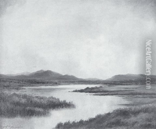 Bog Stream Near Ougterard, Connemara Oil Painting - Douglas Alexander