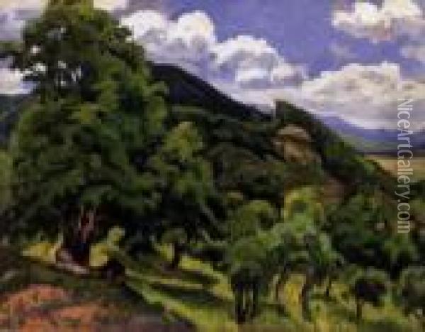 Landscape In Nagybanya Oil Painting - Jozsef Klein
