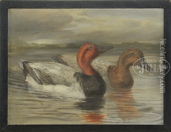 Two Works: Canvasback Ducks Oil Painting - Leander Plummer