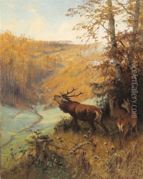 Rotwild Am Waldrand Oil Painting - Arthur (Julius) Thiele