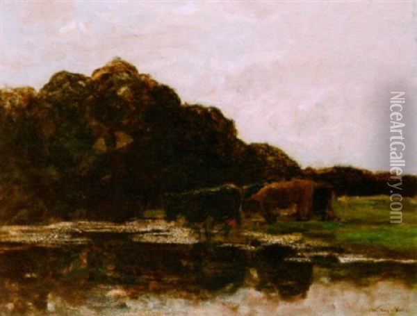 Cows Grazing Oil Painting - Willem Maris