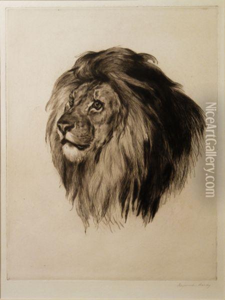 Head Of A Lion Oil Painting - Heywood Hardy