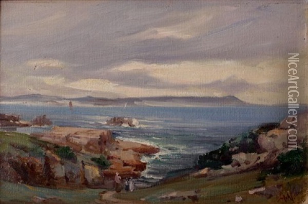 The Cliff Path, Hermanus Oil Painting - Pieter Hugo Naude