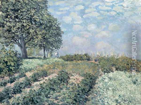 The Market Gardens, 1874 Oil Painting - Alfred Sisley