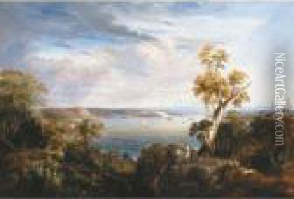 Sydney Harbour From Vaucluse Oil Painting - Conrad Martens