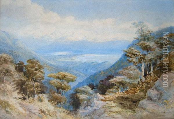 Arthur Range, Nelson Oil Painting - John Gully