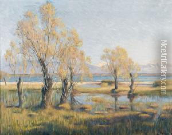 Herbstliche Uferpartie Am Genfersee Oil Painting - Louis Rheiner
