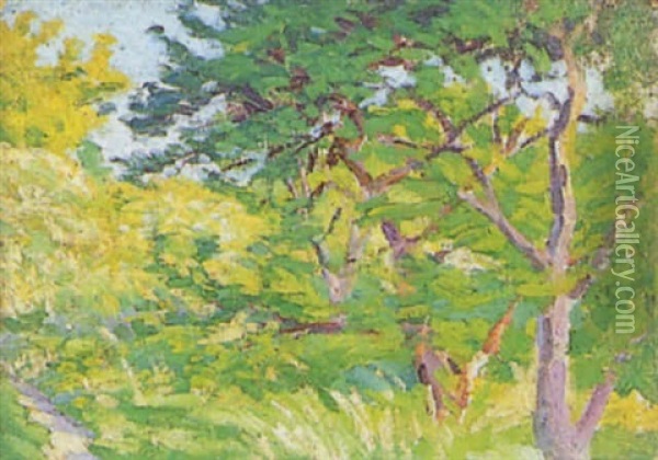 Sous Bois En Ete Oil Painting - Louis Hayet