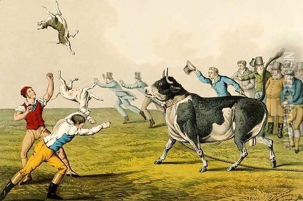 Bull Baiting Oil Painting - Henry Thomas Alken